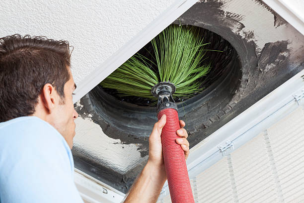 Air Duct Mold Removal in Jacksonville, NC
