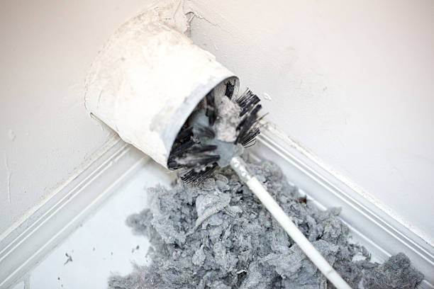 Best Home Air Vent Cleaning  in Jacksonville, NC