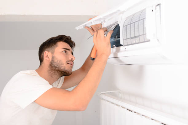 Best Air Duct Mold Removal  in Jacksonville, NC